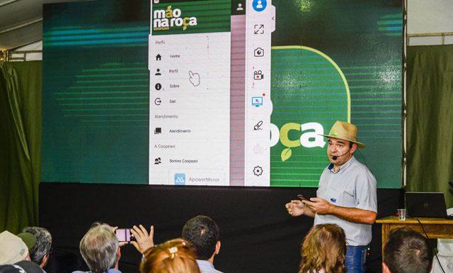 Aplicativo de consultoria online registra aumento de adesões durante pandemia