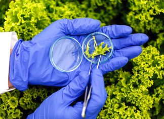 Brasil moderniza procedimentos para registro de produtos biológicos