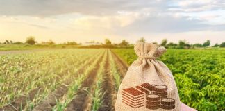 Banestes negocia mais de R$ 61 milhões em propostas de Crédito Rural na maior feira de agronegócio do Estado