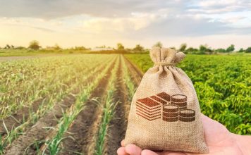 Em oito meses o desembolso do crédito rural chega a R$ 293,1 bilhões