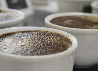 Vencedores do concurso de qualidade de café de Linhares serão premiados no dia 19 de dezembro