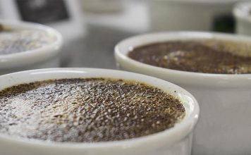 2° Encontro Brasileiro de Degustadores de Café acontecerá em São Gabriel da Palha/ES