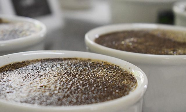 Com respeito a protocolos sanitários, BSCA retoma formação de Q-Graders