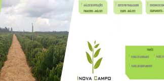 Software apoia produtores de café na gestão de suas propriedades