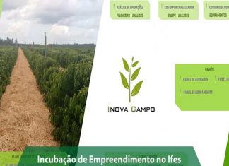 Software apoia produtores de café na gestão de suas propriedades