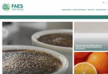 Federação da Agricultura e Senar-ES lançam novos portais de comunicação