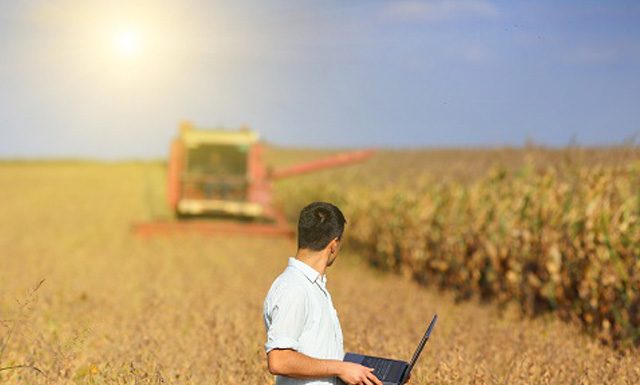 Agro brasileiro alimenta 800 milhões de pessoas, de acordo com estudo da Embrapa