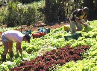 Comissão aprova nova definição de agricultor familiar e empreendedor rural
