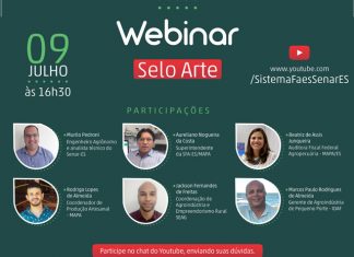 Evento online debate o Selo ARTE no Espírito Santo