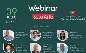Evento online debate o Selo ARTE no Espírito Santo