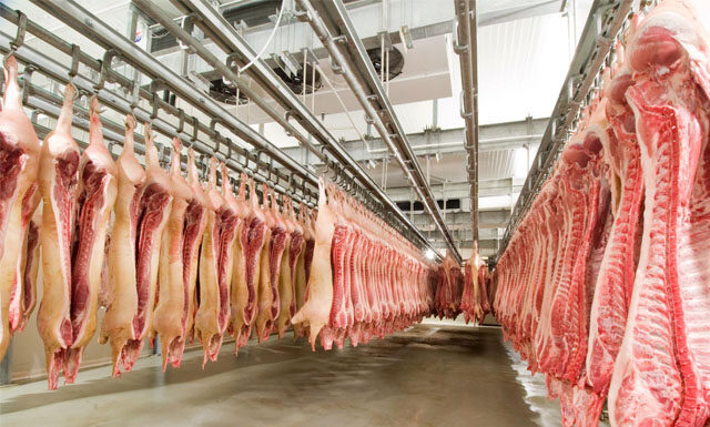 Exportações de carne suína crescem 46,74% em julho