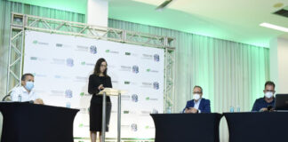 Instituto realiza primeira audiência pública virtual do setor florestal no País