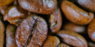 Governo aprova redução de taxas de juros para setor cafeeiro