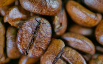 Abertas inscrições para o Prêmio Cafés Especiais do Espírito Santo