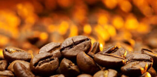 Exportações dos cafés do Brasil atingem 16,24 milhões de sacas no primeiro quadrimestre de 2024