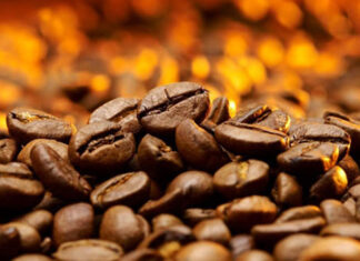 Exportações dos cafés do Brasil atingem 16,24 milhões de sacas no primeiro quadrimestre de 2024