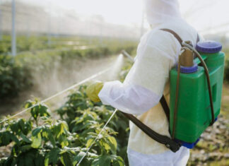 Brasil expande área tratada com defensivos agrícolas em 10,5% em 2023, segundo pesquisa