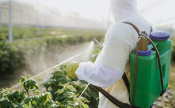 Presidente veta partes do projeto de lei que flexibiliza regras para defensivos agrícolas no Brasil