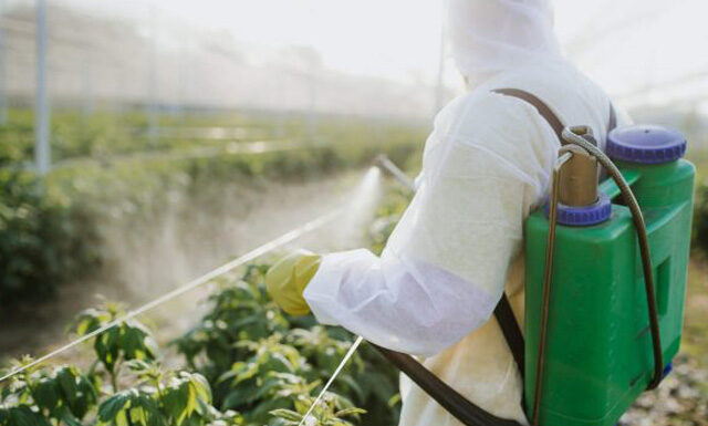 Falta defensivos na Argentina