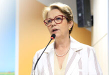 Em audiência no STF, ministra diz que agropecuária e meio ambiente andam juntos no Brasil