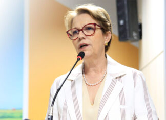 Em audiência no STF, ministra diz que agropecuária e meio ambiente andam juntos no Brasil