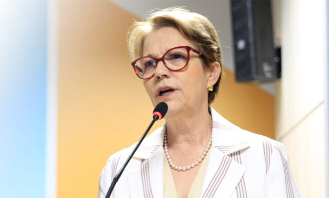 Em audiência no STF, ministra diz que agropecuária e meio ambiente andam juntos no Brasil