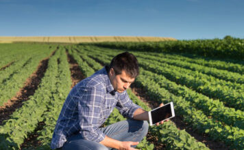 Cedagro atualiza estudo sobre custos de produção de 42 atividades agrícolas