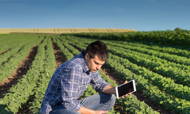 Senar lança programa agrodigital com cursos gratuitos a distância