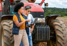 Transformação digital no agro será tema de Câmara Temática do Mapa