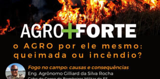 Agricultura Forte e Programa Agro+ apresentam o “Agro+Forte: o agro por ele mesmo”