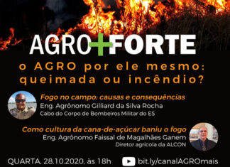 Agricultura Forte e Programa Agro+ apresentam o “Agro+Forte: o agro por ele mesmo”