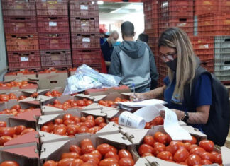 Ação verifica o cumprimento da rastreabilidade de produtos vegetais
