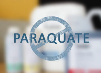 Anvisa autoriza uso de estoques de Paraquate na safra 20/21