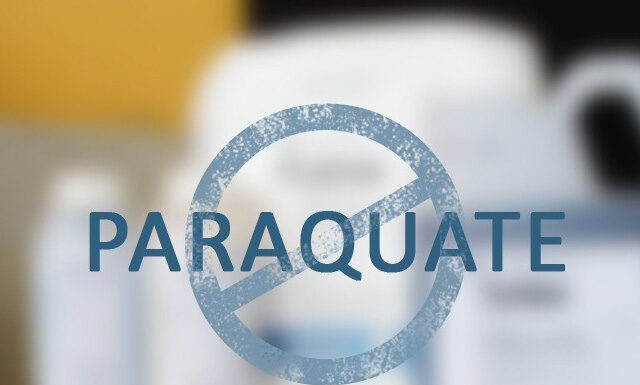 Paraquate proibido inflaciona dissecantes