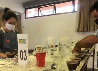 Conheça os cafés especiais finalistas do Cup of Excellence – Brazil 2020