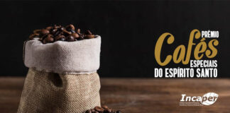 Divulgação das amostras de conilon classificadas no Prêmio Cafés Especiais do Espírito Santo