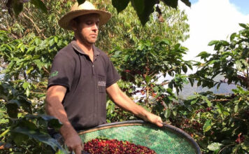 Feira Sabores da Terra oferece produtos a partir de R$ 8,00