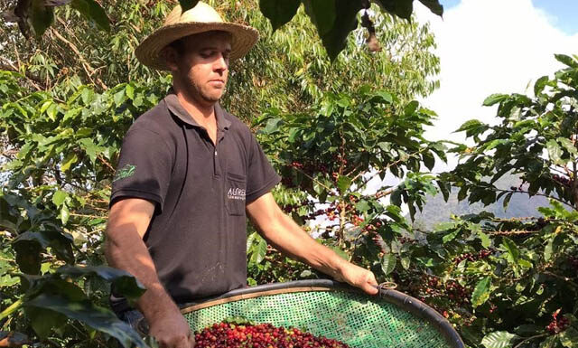 Feira Sabores da Terra oferece produtos a partir de R$ 8,00