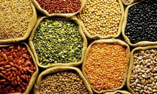 Safra de grãos brasileira cresceu 506% em quatro décadas