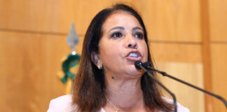 Janete de Sá é reeleita presidente da Comissão de Agricultura da Ales