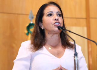Janete de Sá é reeleita presidente da Comissão de Agricultura da Ales