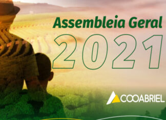 Cooabriel realiza sua primeira Assembleia Geral 100% online