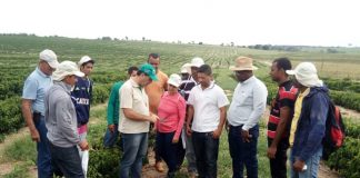 Senar-ES comemora 28 anos de capacitação das famílias rurais capixabas