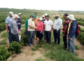 Senar-ES comemora 28 anos de capacitação das famílias rurais capixabas