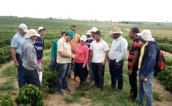 Senar-ES comemora 28 anos de capacitação das famílias rurais capixabas