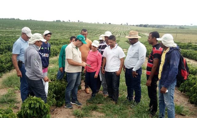 Senar-ES comemora 28 anos de capacitação das famílias rurais capixabas