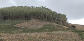 Relatório de perdas na agropecuária devido aos eventos climáticos no ES