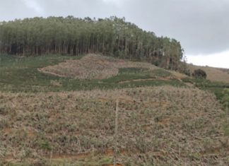 Relatório de perdas na agropecuária devido aos eventos climáticos no ES