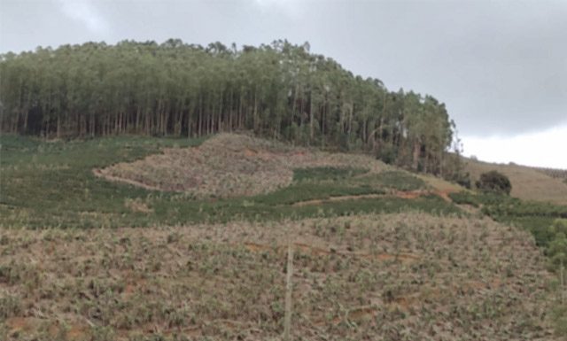 Força tarefa do agro vai ajudar produtores com prejuízos da chuva de granizo no ES