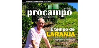 Edição 90 da Revista Procampo circula em todo ES